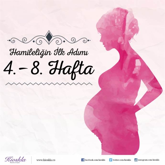 Hamileliğin İlk Adımı 4-8 Hafta