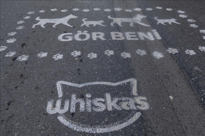 Whiskas’tan Toplumsal Empatiyi Güçlendiren Proje: “Gör Beni”
