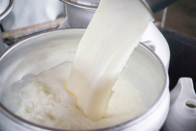 5 adımda sağlıklı ev yoğurdu yapmanın püf noktaları