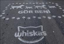 Whiskas’tan Toplumsal Empatiyi Güçlendiren Proje: “Gör Beni”