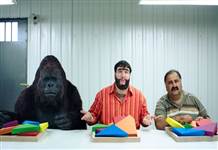 Recep İvedik 6'nın Goril Kiko'su İspanya'dan getirildi