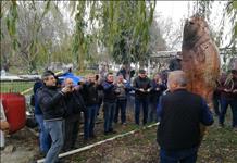Bursa'da dev yayın balığını halk sahile akın etti
