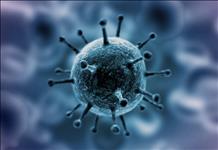Koronavirüs nedir? Coronavirus belirtileri nelerdir?