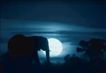 Netflix, Beren Saat'in seslendirdiği 'Dünya’da Gece'nin fragmanı yayınladı