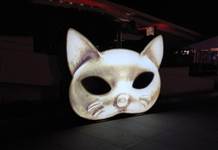 Felis Ödül Töreni 7-8 Kasım’da