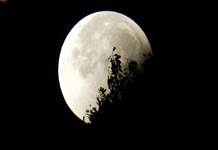  28 Ekim'deki Akrep Burcunda Yeni Ayın burçlara etkisi